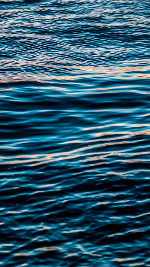 Photo of an Ocean with Blue Water
