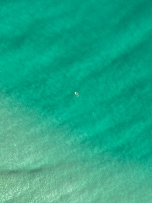 Free Aerial shot capturing a lone surfer in the vibrant turquoise waters of Bronte, NSW, Australia. Stock Photo