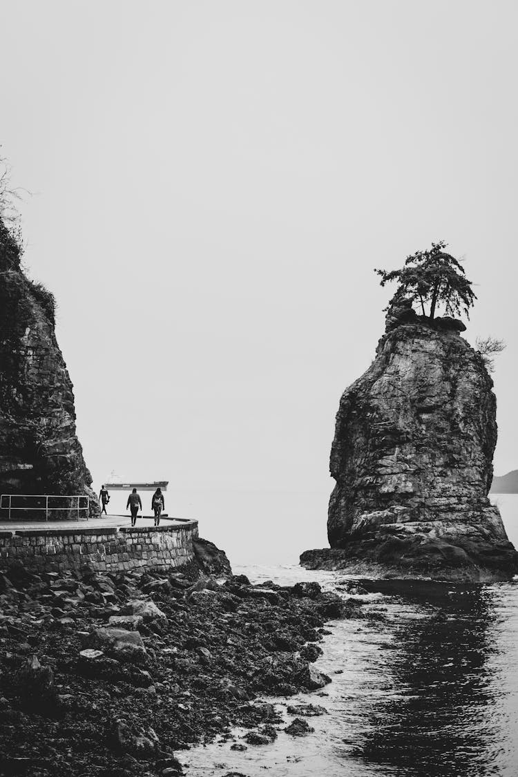 Tree On A Rock Formation And A Walk Along The Cliffs In Stanley Park, Vancouver 