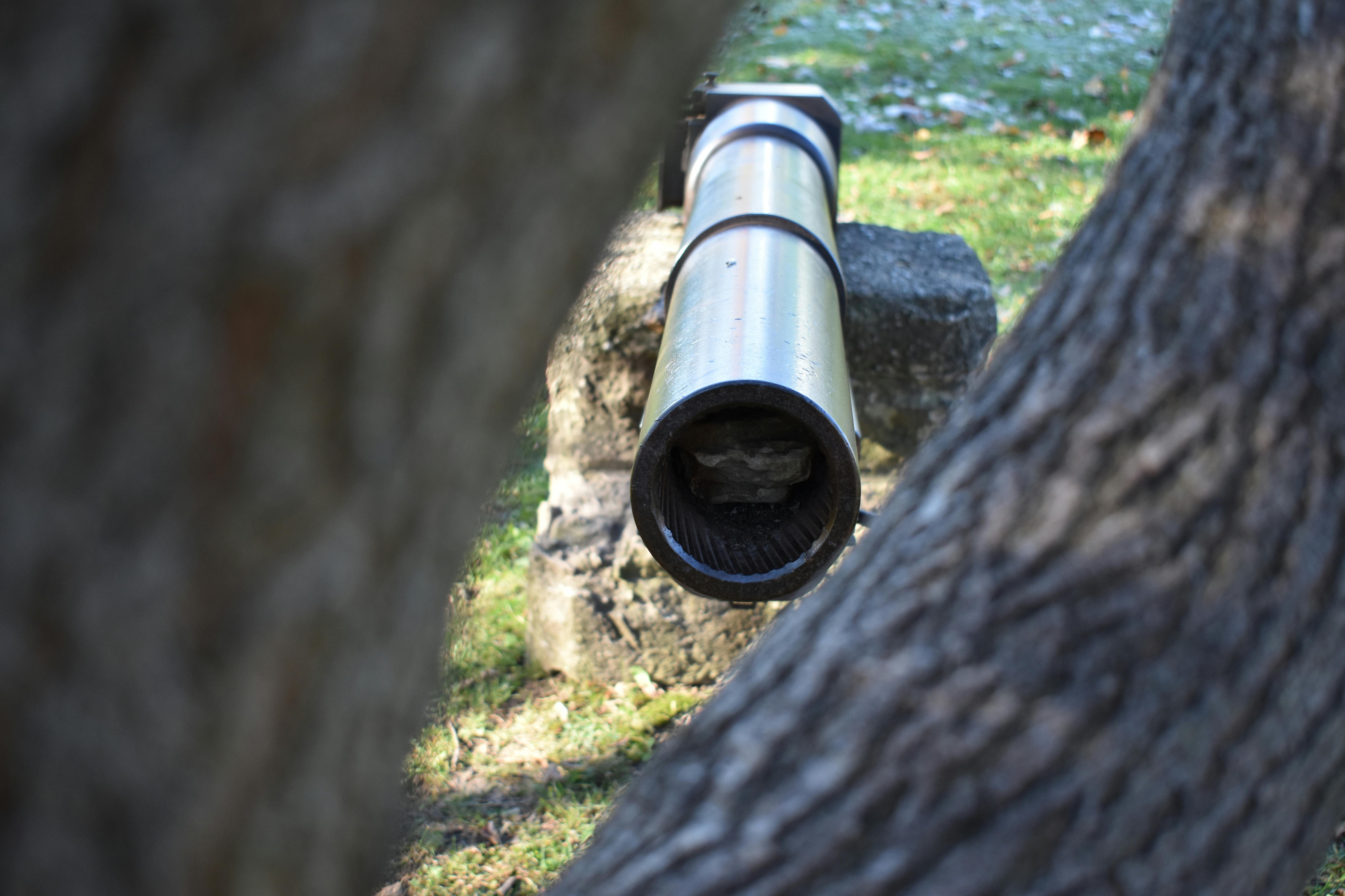 Free stock photo of sealey park in waterdown, waterdown, waterdown realtor