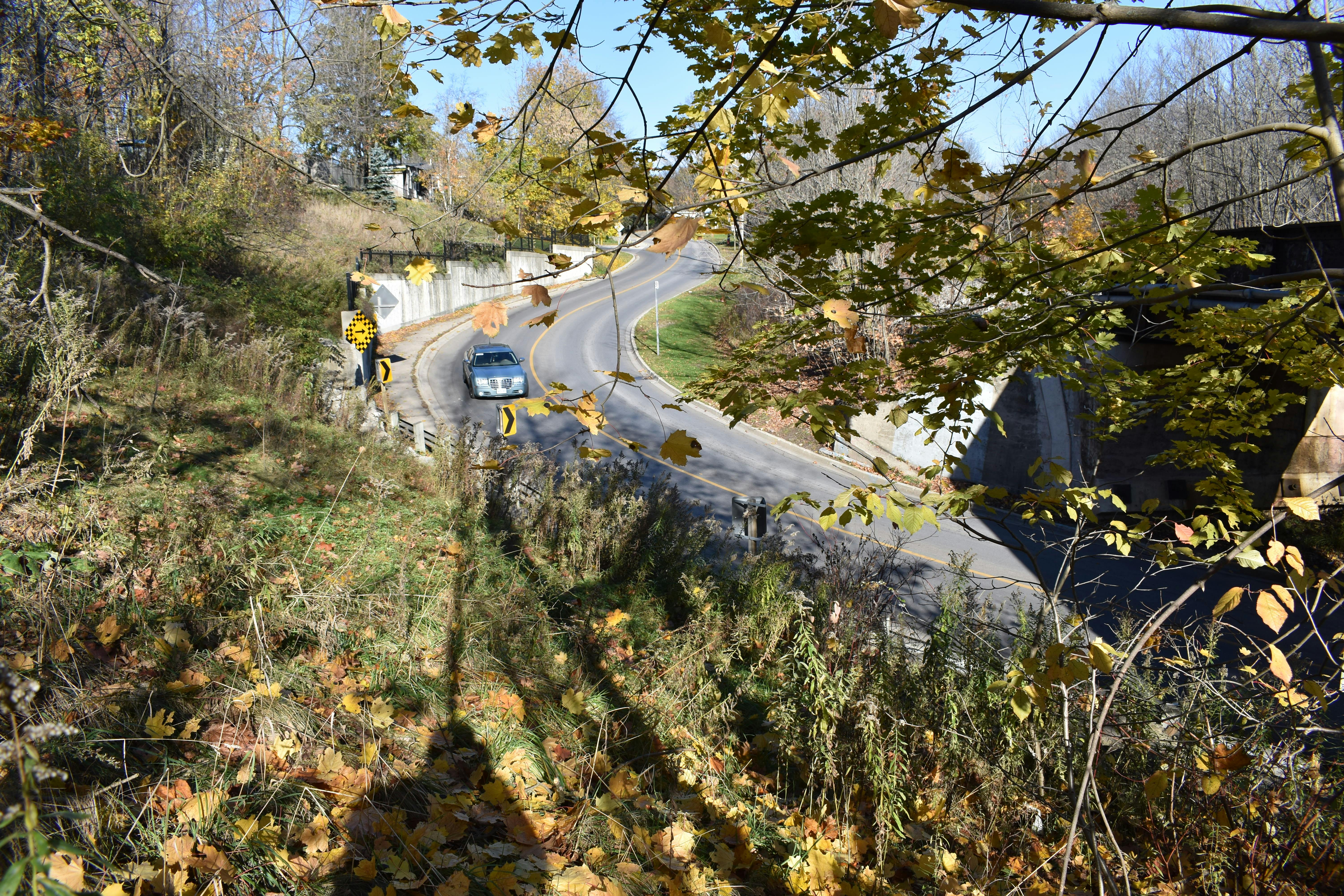 Free stock photo of sealy park, waterdown ontarip, waterdown realtor