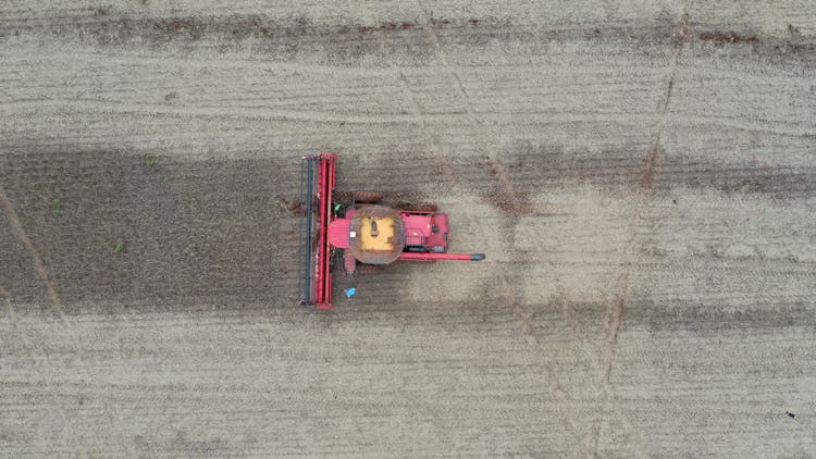 Combine Harvesting In Crop Field