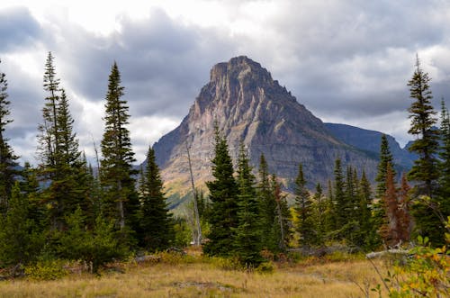 Green Pine Trees Near Mountain Under White Clouds