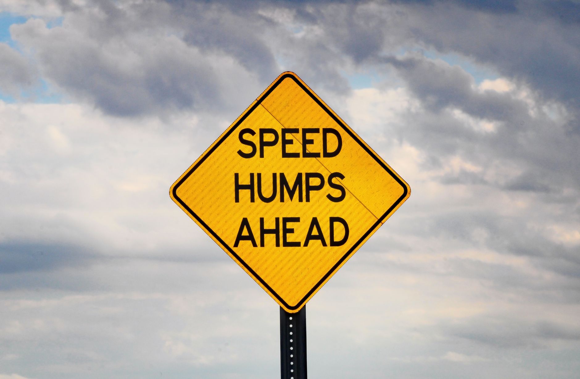 Racing Essentials: Blending Safety with Speed