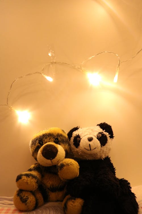 Δωρεάν στοκ φωτογραφιών με pandi, αρκούδα, αρκουδάκι