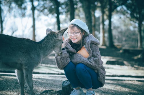 Imagine de stoc gratuită din animal, expresie facială, femeie asiatică