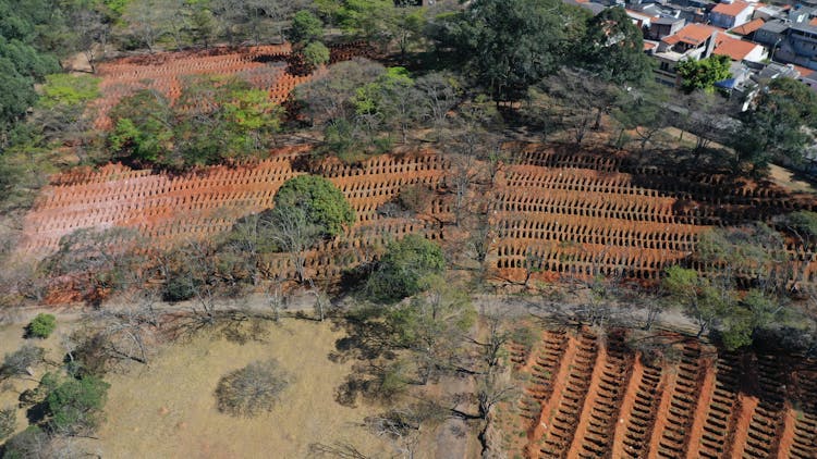 Aerial Photo Of Mass Graves Dug For Covid Victims 