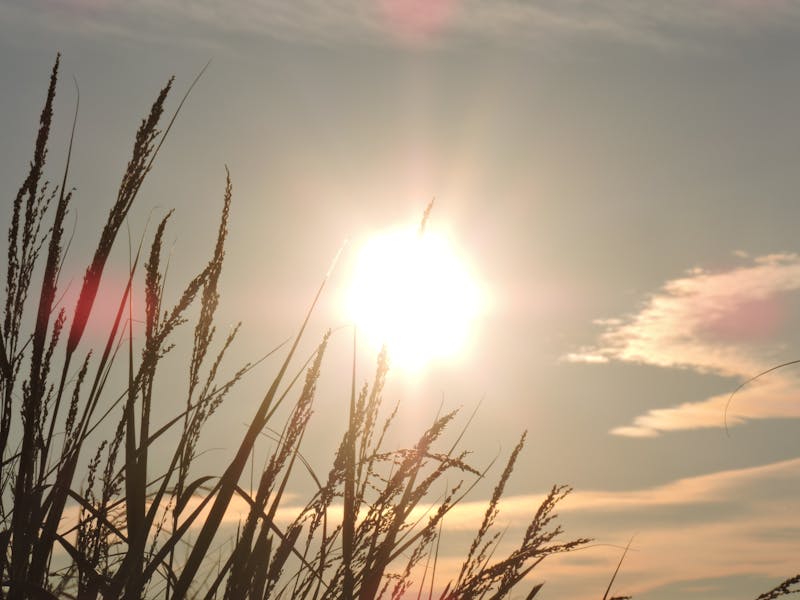 সাপোর্ট টিকেটিং সিস্টেম