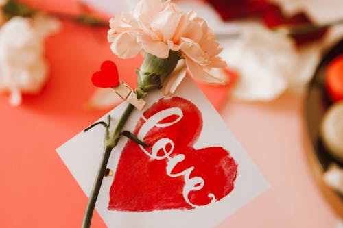 Free A Flower with a Card of Love Stock Photo