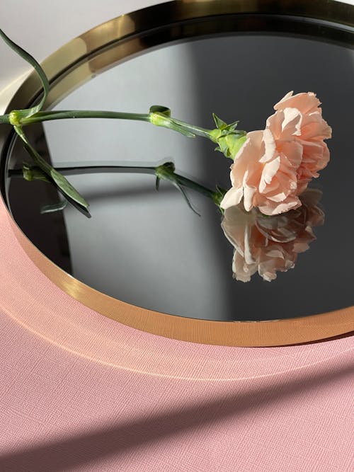 Free A Flower over a Round Mirror Stock Photo