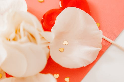 Flower Petals Covering a Heart Shaped Lollipop