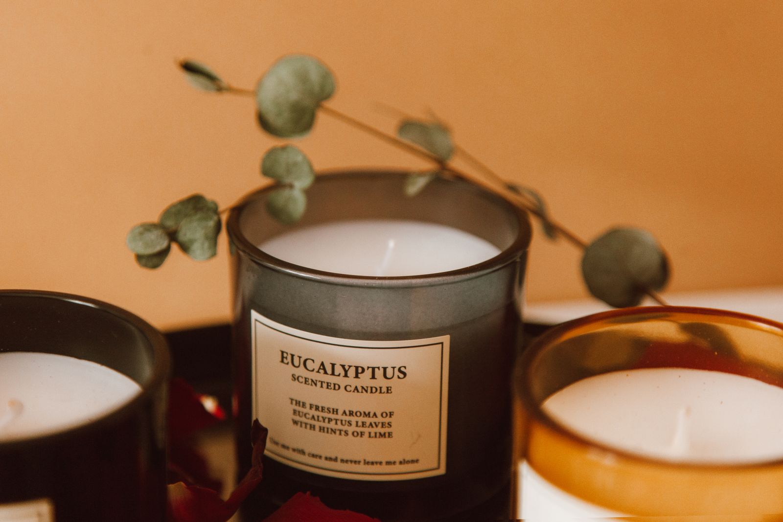 Bougie Eucalyptus