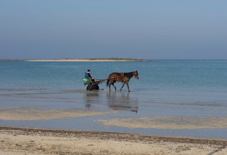 Man Riding Horse In Water On Beach