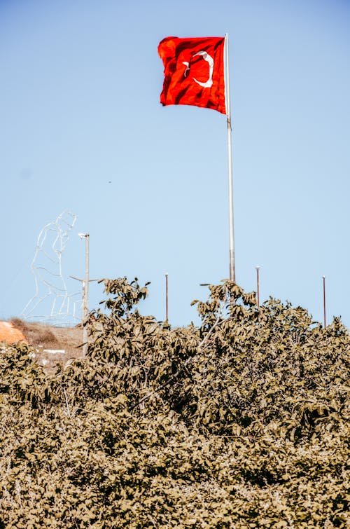 Photo of the Flag of Turkey in a Flag Pole Above Tree Leaves