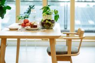 Plates with medicines and ripe apples and bowl of fresh lettuce salad placed on wooden table near potted plant and bottle of water