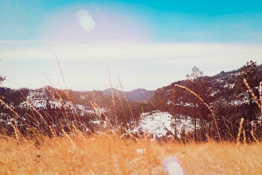 A scenic view of snow-covered mountains and sunlit grass under a clear blue sky.