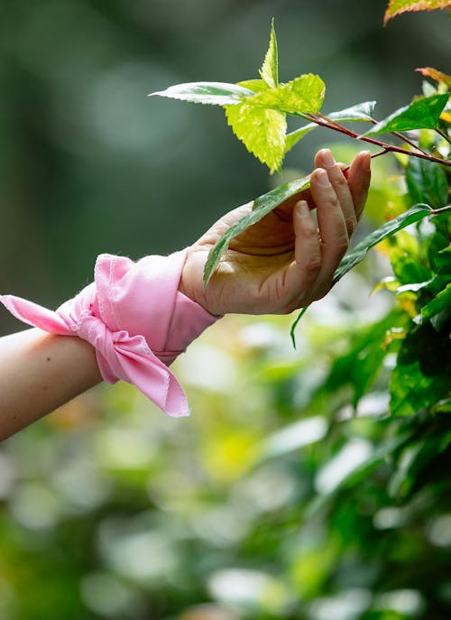 Anonymous female in park with green leaves on shrubs