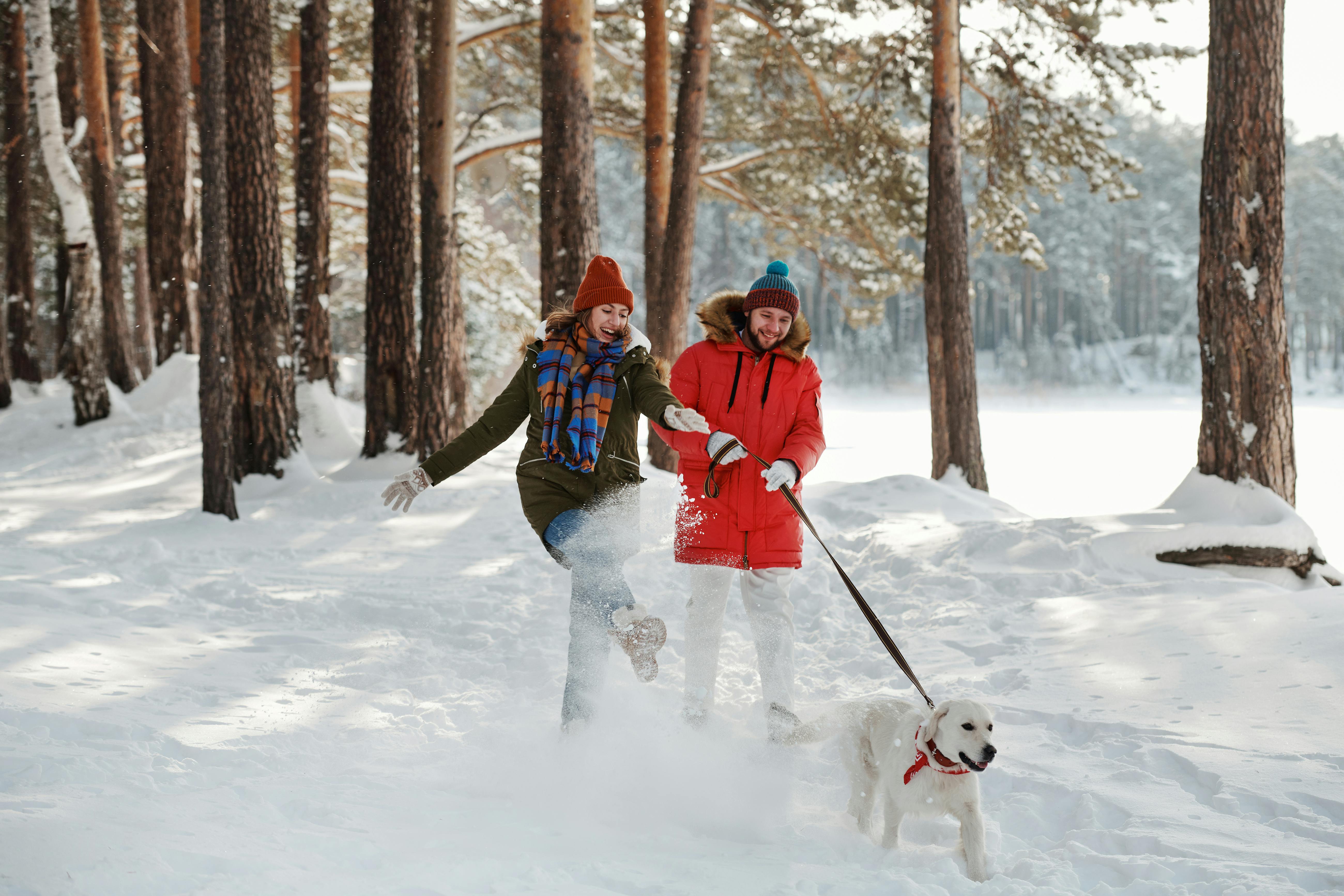 Winter weather pet safety tips from Kansas City animal experts — Photo by Boris Pavlikovsky on Pexels