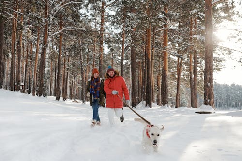 Free A Couple Walking Their Dog during Winter Stock Photo