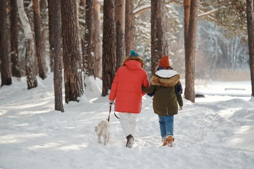 Free Couple in winter coats walking their dog in a snowy forest, symbolizing togetherness and nature. Stock Photo