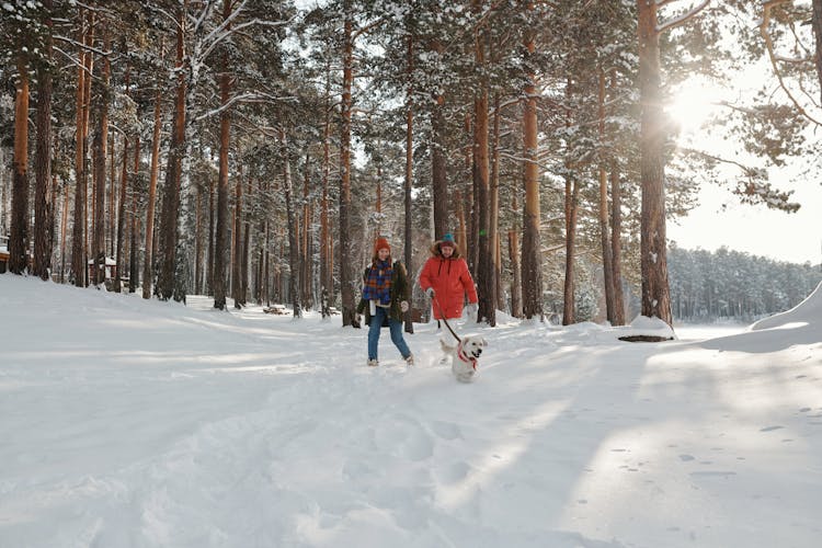 A  Couple And Their Dog  Strolling