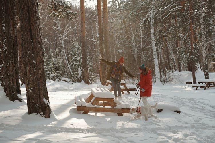 
A Couple In A Park With Their Dog During Winter