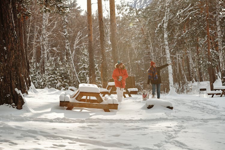 
A Couple In A Park With Their Dog During Winter