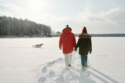 Back View of a Couple Holding Hands while Walking on the Snow with Their Pet Dog