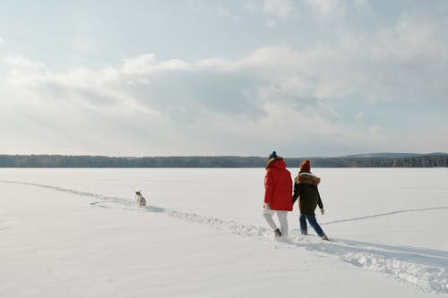 Free 
A Couple Walking on a Snow Covered Field with Their Dog Stock Photo
