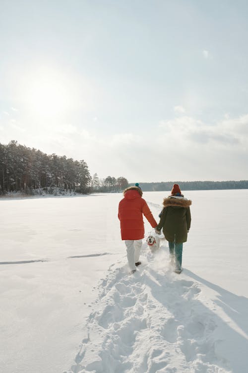 Free Photo of a Couple Walking on the Snow with their Pet Dog Stock Photo