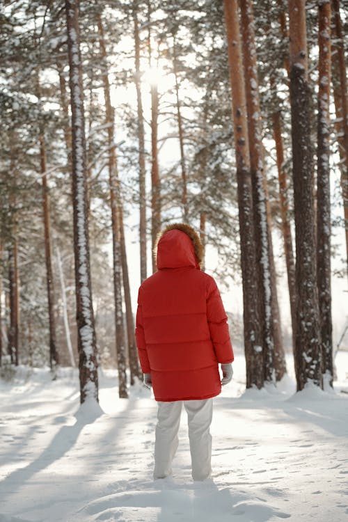 Fotos de stock gratuitas de chaqueta roja, de espaldas, de pie