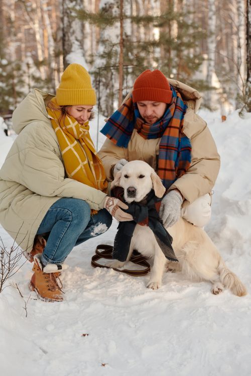 Free Happy couple and their dog enjoying a snowy winter walk in cozy attire. Stock Photo