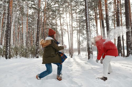 Free A couple playing joyfully in the snow in a scenic winter forest, creating a lively and warm atmosphere. Stock Photo