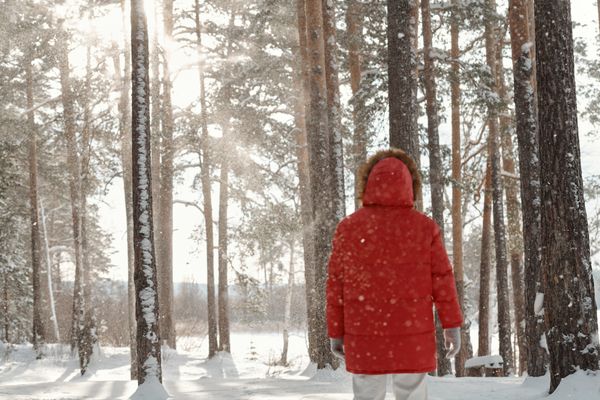 Person in a red hooded parka walking through a snow-covered pine forest — photo by Boris Pavlikovsky on Pexels