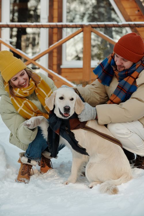 Free Couple enjoying winter with their Labrador Retriever in a snowy backdrop. Stock Photo
