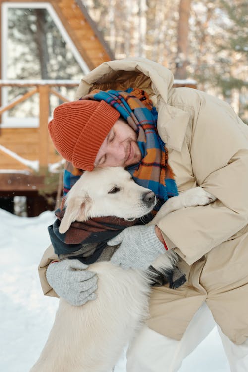 Photos gratuites de affection, animal, animal de compagnie