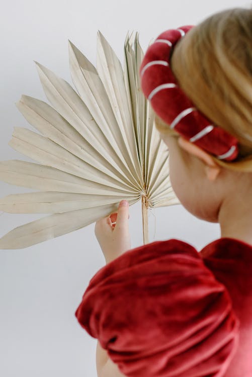 Back View of a Little Girl in a Red Dress Holding a Dry Palm Leaf