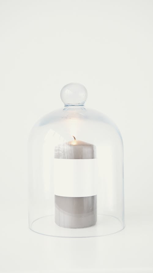 Foto profissional grátis de branco, capa, cloches de vidro