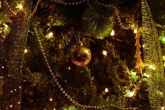 Shallow Photography of Christmas Decor