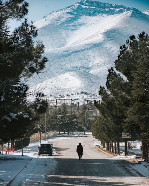 Free A solitary walk on a winter road beneath a snowcapped mountain, surrounded by trees. Stock Photo