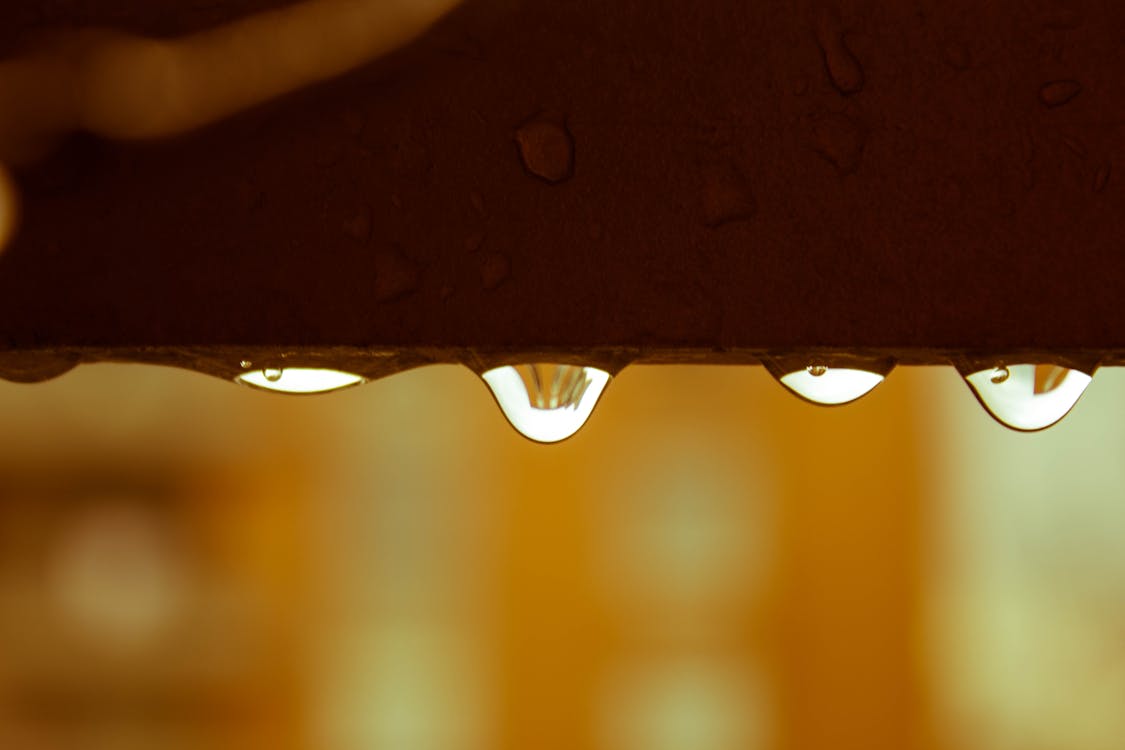 Бесплатное стоковое фото с дождь, закат, капли