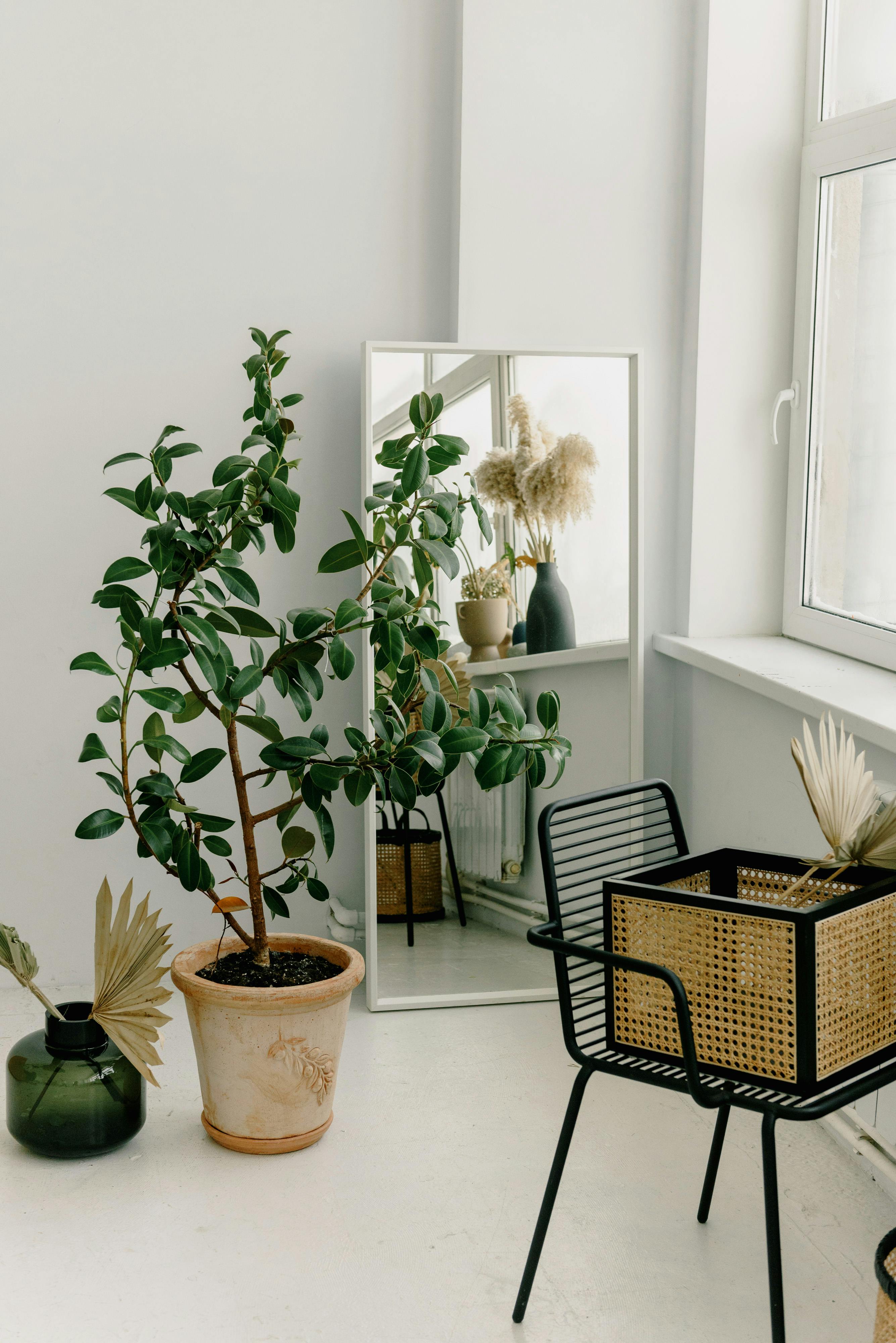 Free A minimalist interior design featuring a potted plant, mirror, and decorative elements in a bright room. Stock Photo