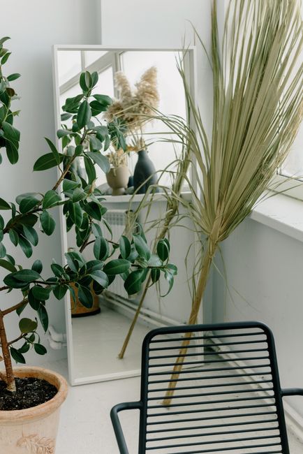 Contemporary indoor plant setup with a mirror reflecting dried palm leaves in a bright room.
