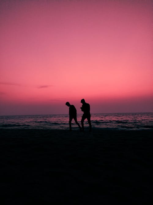 Silhouette of People Walking on Beach during Sunset