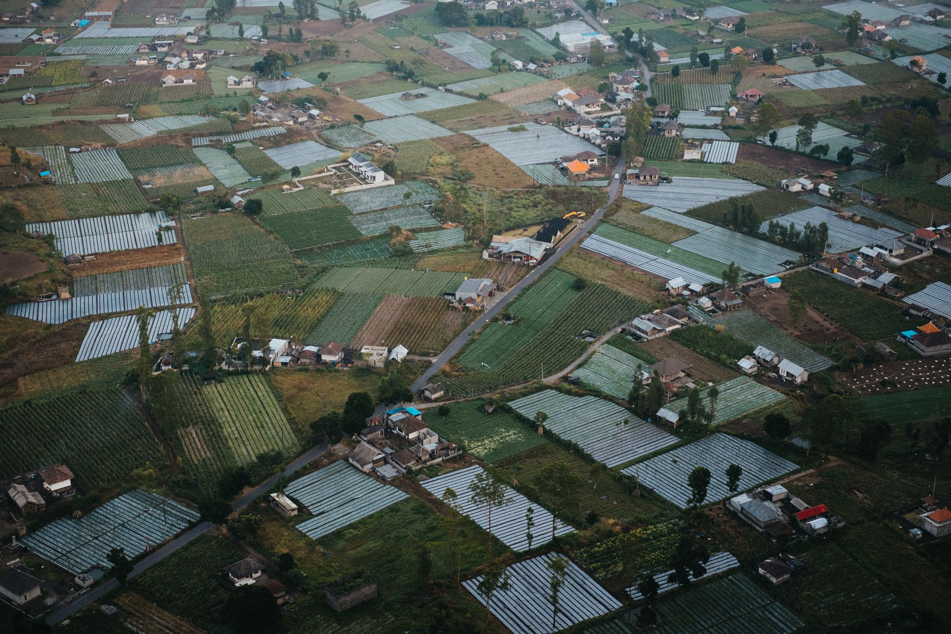Pupuk Kaltim Perkuat Ekonomi Desa Lewat Integrasi Agribisnis Terpadu