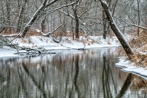 Kostenloses Stock Foto zu bäume, fluss, landschaft