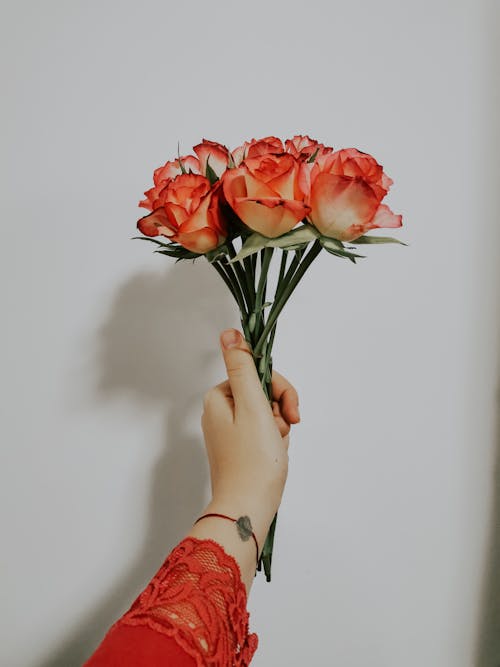 A Person Holding Roses