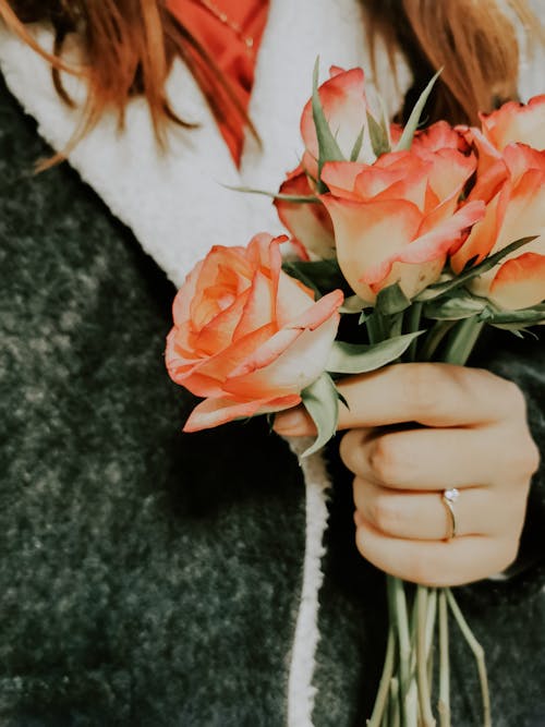 Free A Woman Holding Roses Stock Photo
