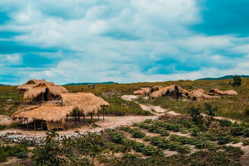 Ảnh lưu trữ miễn phí về chòi, miền quê, Philippines