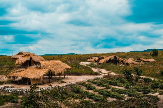Scenic view of traditional bamboo huts in the rural landscape of Central Luzon, Philippines.